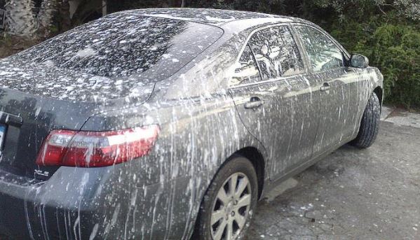 Bird Poops on car ruin car paint.