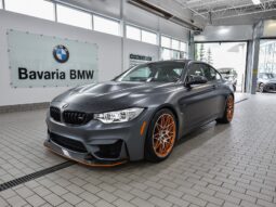 BMW M Series M4 GTS 2017-2020 USA