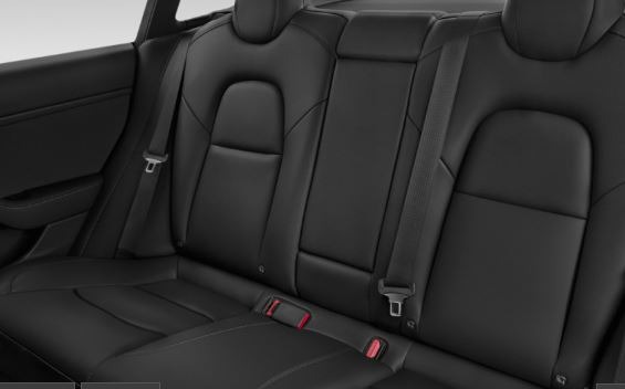 2019 Tesla Model 3 Rear Seats