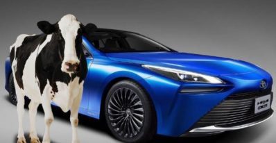 Toyota Mirai will Run on Cow Manure