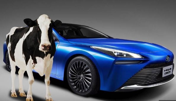 Toyota Mirai will Run on Cow Manure