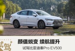 2022 BYD E-500 EV Pro China