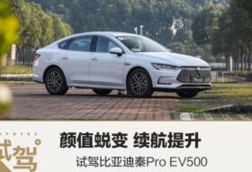 2022 BYD E-500 EV Pro China