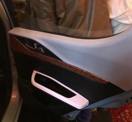 2020 Prince Pearl door Panels inside