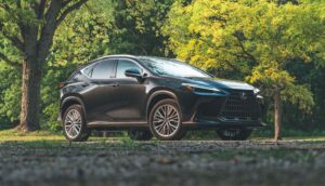 lexus NX SUV 2nd Generation aggressive and decent looking