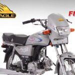 Eagle Fire Bird DG 70 Bike feature image