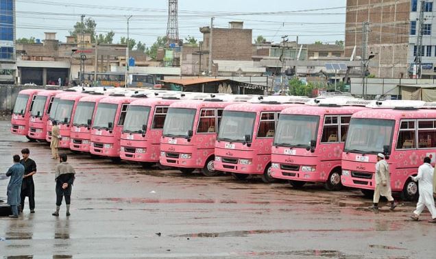 Khyber Pakhtunkhwa Administration Provides Pink Buses to Girls' Colleges in Peshawar for Enhanced Student Safety and Convenience