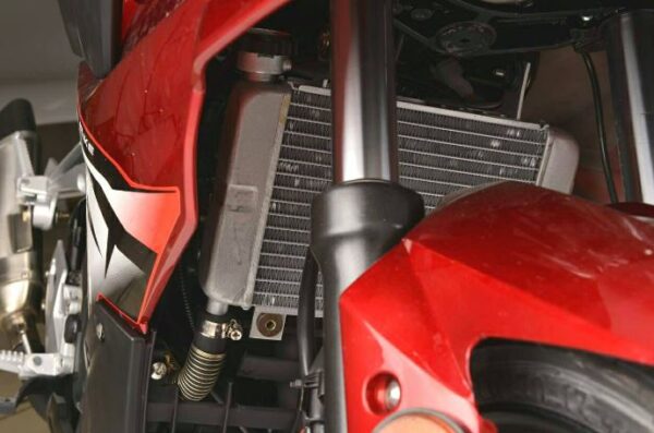 Lion 150cc Sports Bike radiator