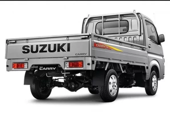 2020 Suzuki Carry Luxury Rear View