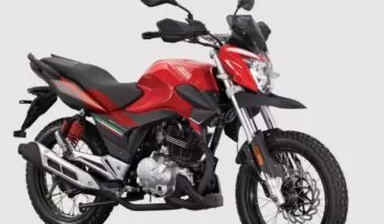 road prince wego 150 cc motor bike feature image|road prince wego 150 cc motor bike features